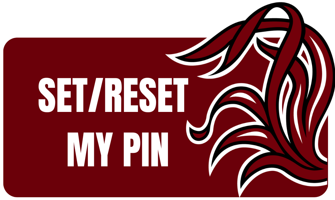 Click to Set or Reset Pin